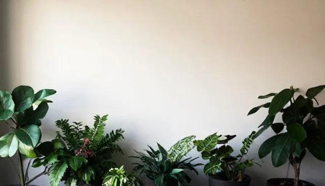 方案优化中技术选型的两种做法对比及实际取舍